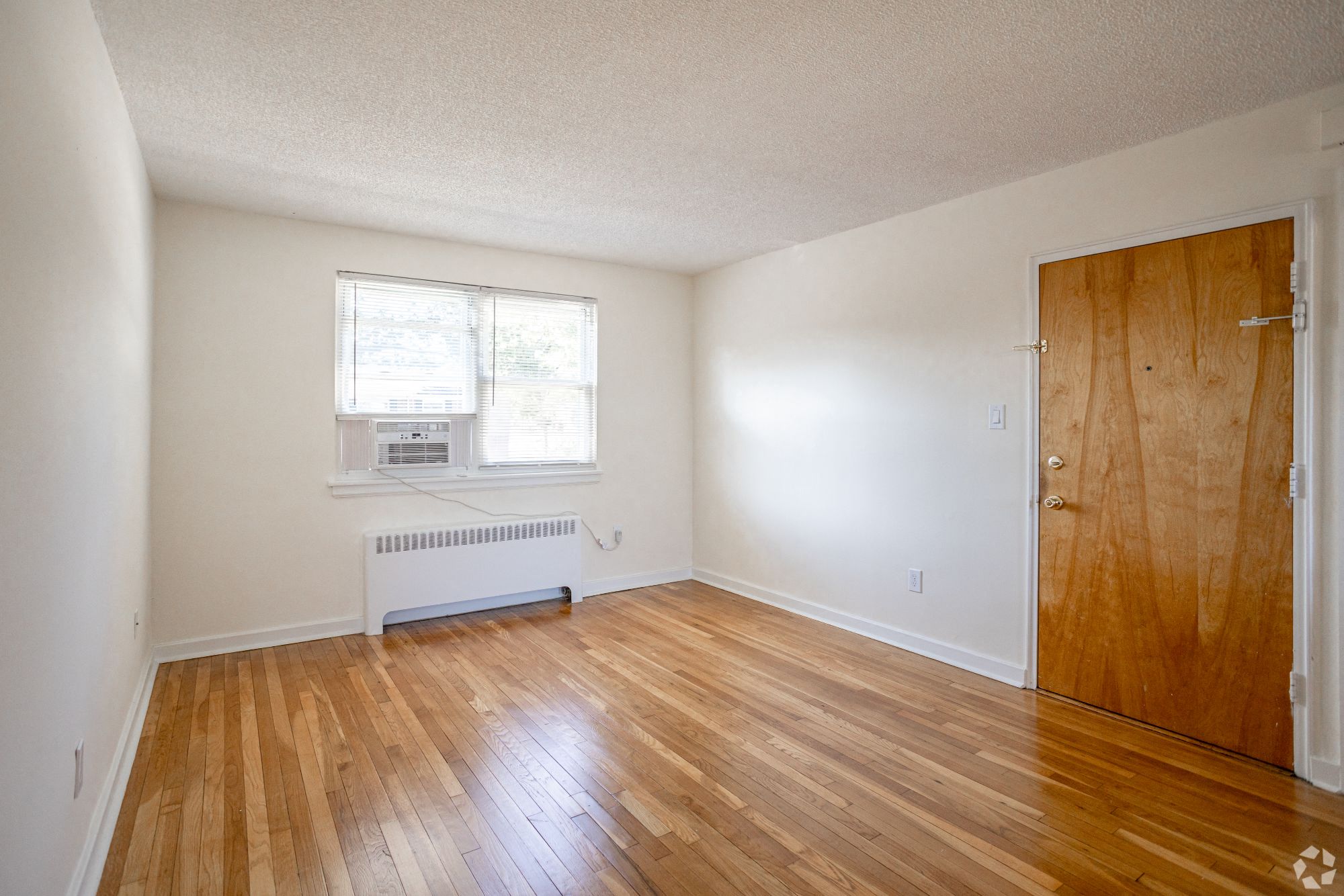Gallery Photo 3